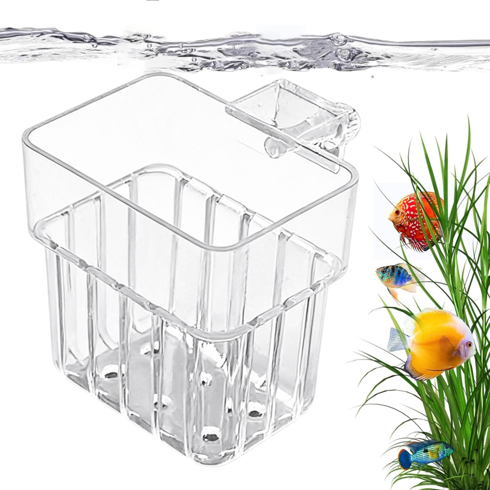 Aquarium Plants Live - Vaso Transparente Pendurável para Plantas de