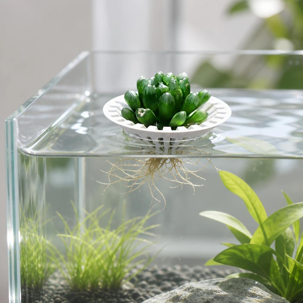Aquarium Plant Holder - Vaso hidropônico para aquário, suporte flutuante
