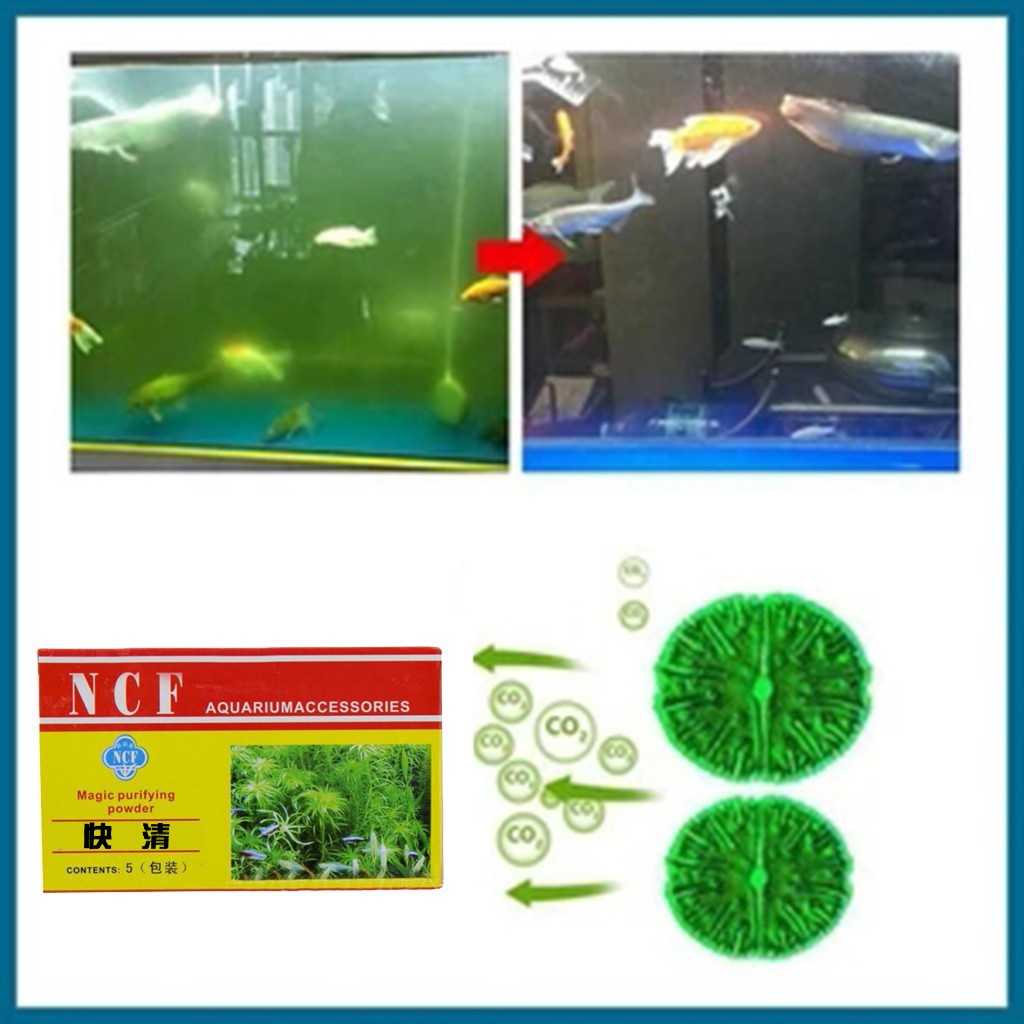 Aquarium Moss - Pó purificador de água para aquário,