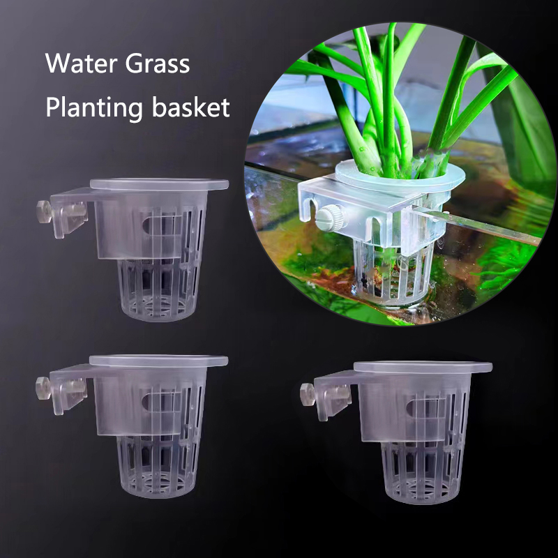 Aquarium Plants Live - Cesta de plantio de aquário, suporte