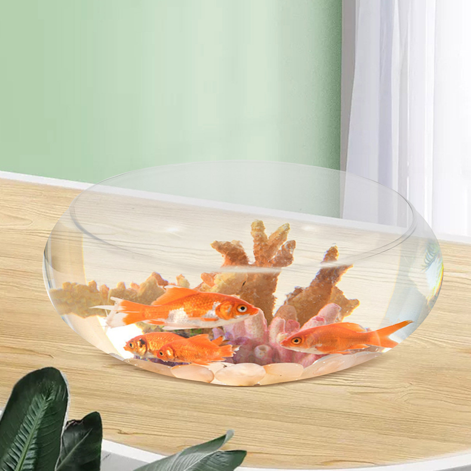 Aquário de Vidro para Peixes,  - Plant Aquarium Pot avaliação e preço