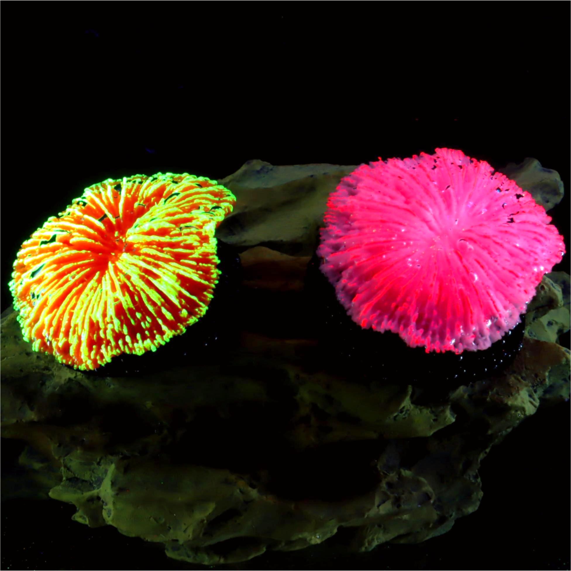 1 Peça de Decoração para Aquár - Aquarium Plants Live avaliação e preço