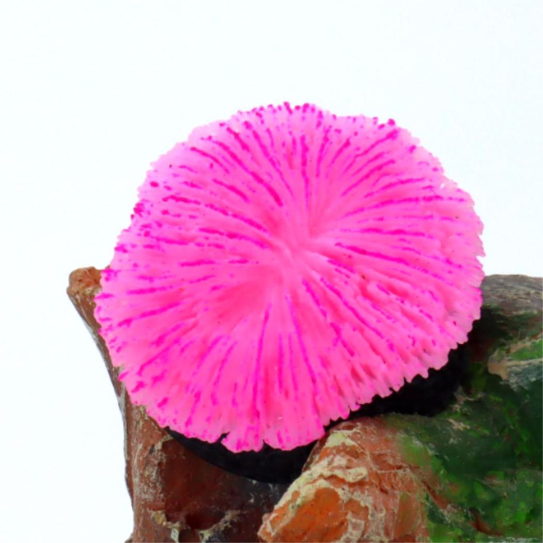 1 Peça de Decoração para Aquár - Aquarium Plants Live avaliação e preço
