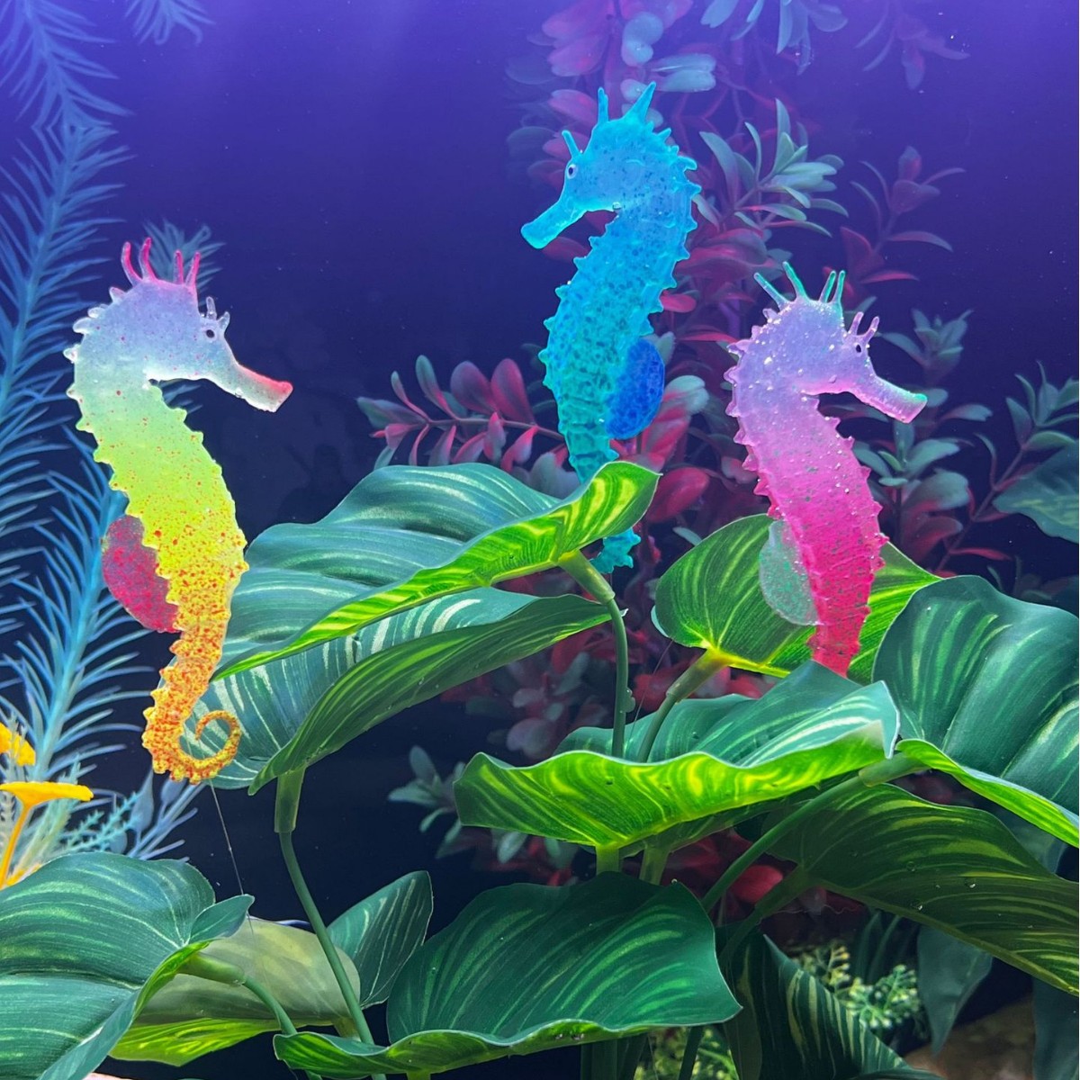 Decoração de Aquário com Caval - Aquarium Plant Substrate avaliação e preço