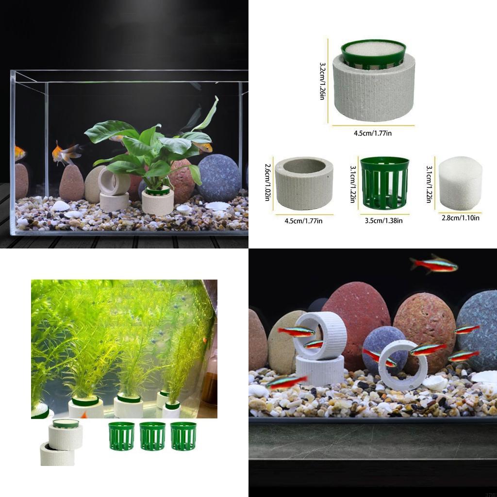 37me 10 peças conjunto anéis f - Aquarium Plant Holder avaliação e preço
