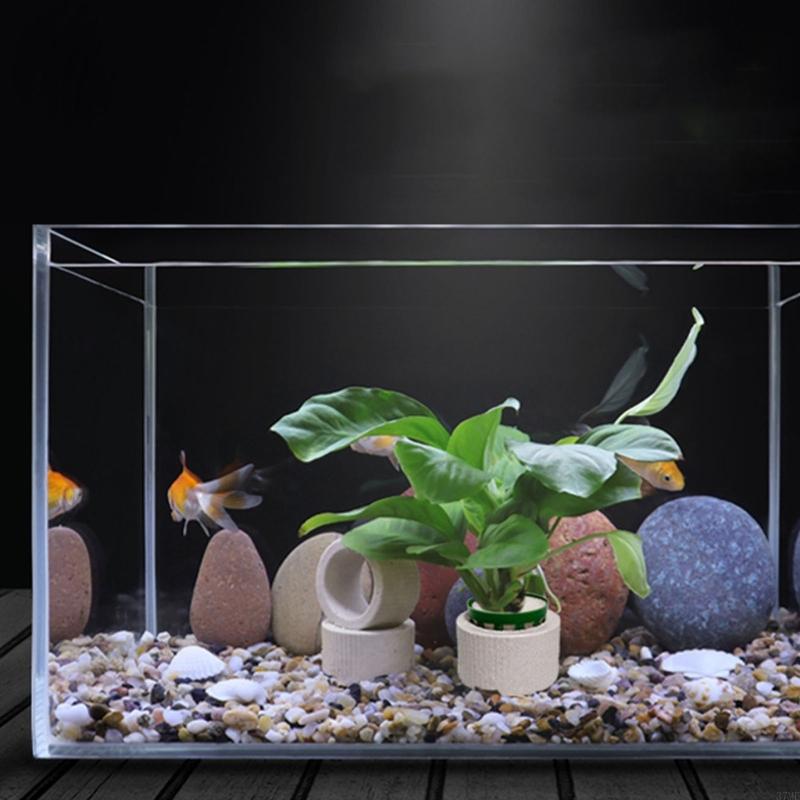 37me 10 peças conjunto anéis f - Aquarium Plant Holder avaliação e preço