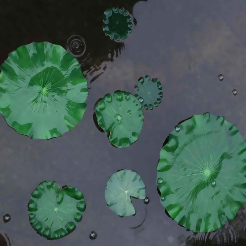 Folhas de Lótus Artificiais 20 - Aquarium Moss avaliação e preço