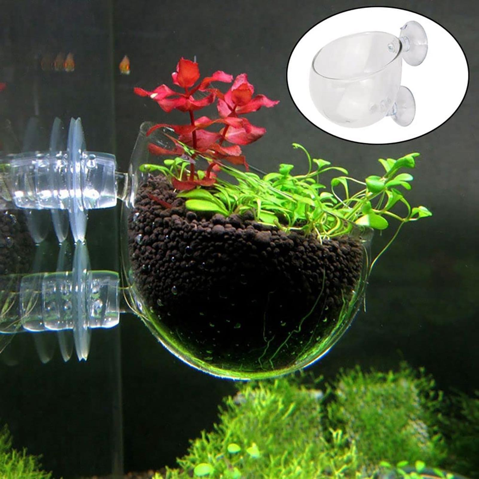 Vaso para plantas de aquário,  - Plant Aquarium Pot avaliação e preço