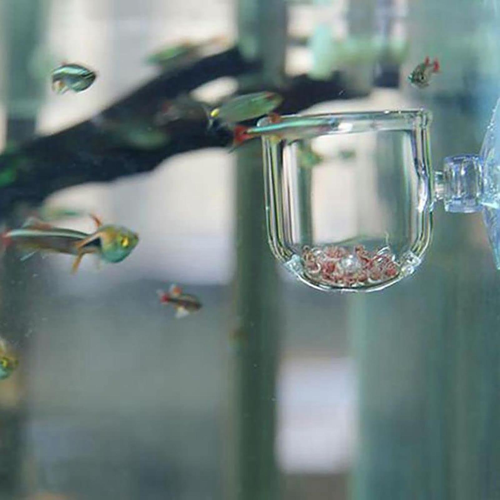 Vaso para plantas de aquário,  - Plant Aquarium Pot avaliação e preço