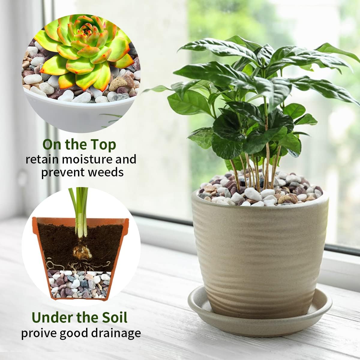 Pedras de cascalho de cores va - Plant Aquarium Pot avaliação e preço