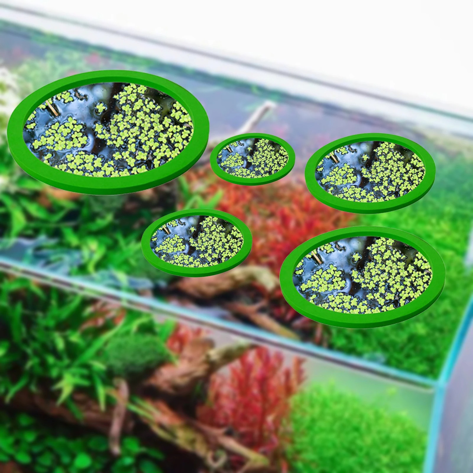 5 pçs eva anel de alimentação  - Planted Tank avaliação e preço