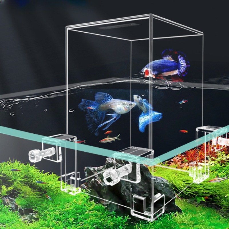 Aquário de pressão negativa pa - Plant Aquarium Pot avaliação e preço