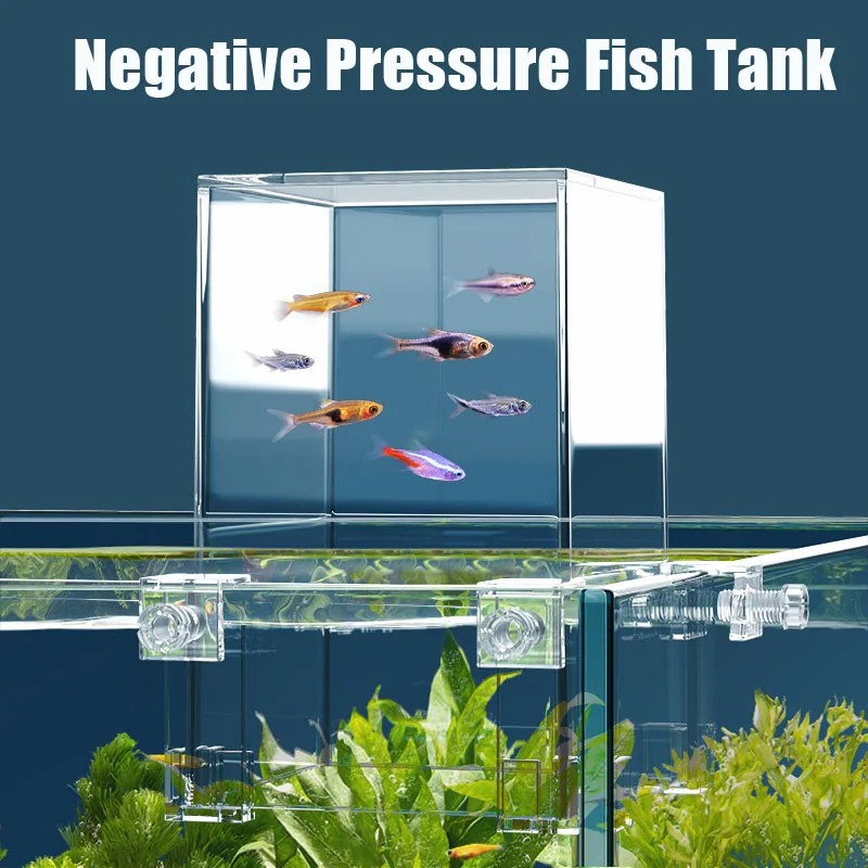 Aquário de pressão negativa pa - Plant Aquarium Pot avaliação e preço