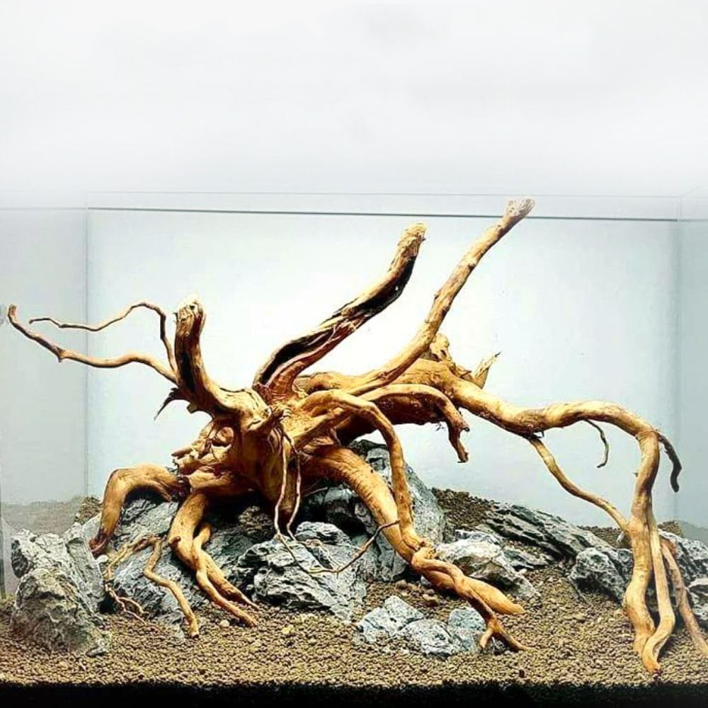 Tronco de Madeira Natural Gran - Aquarium Plant Substrate avaliação e preço
