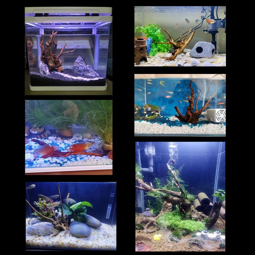 Tronco de Madeira Natural Gran - Aquarium Plant Substrate avaliação e preço