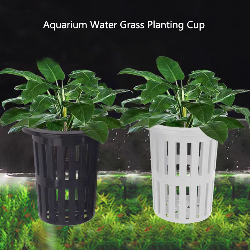 1/3 pçs cesta de plantas de aq - Aquarium Plants Live avaliação e preço