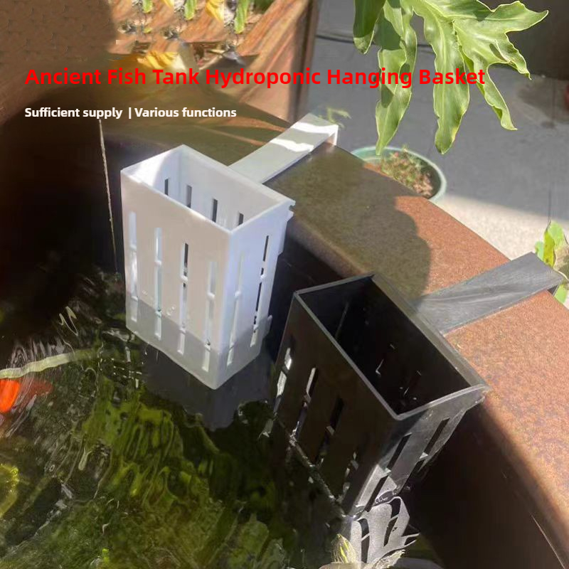 1/3 pçs cesta de plantas de aq - Aquarium Plants Live avaliação e preço