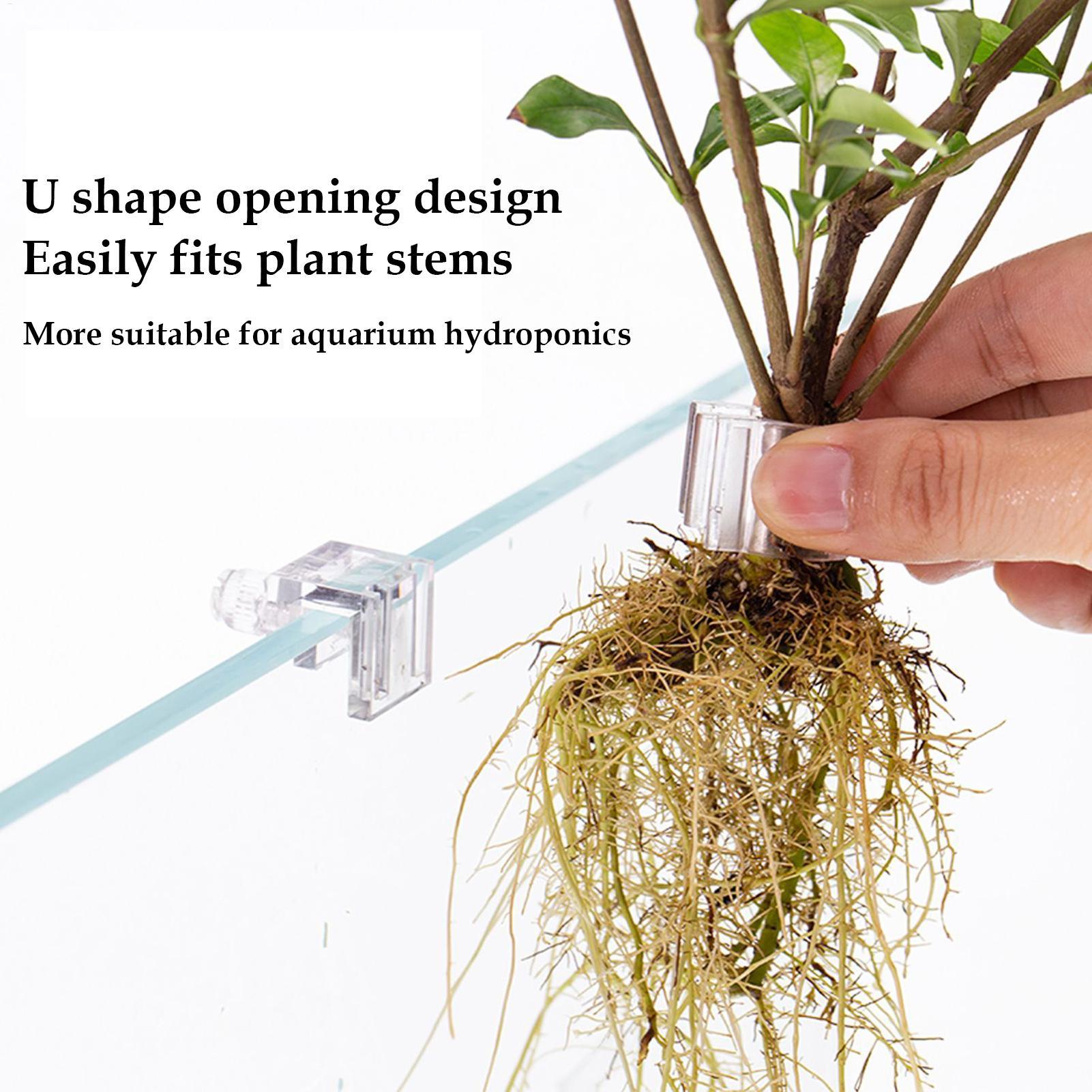 Mini Vaso Plantador para Aquár - Aquarium Plants Live avaliação e preço