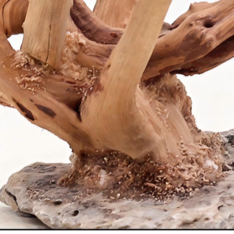 1pc aquário paisagismo ornamen - Aquarium Driftwood avaliação e preço