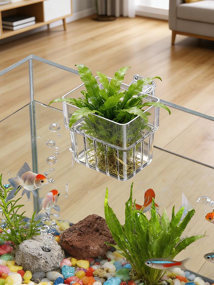 Suporte Transparente para Plan - Plant Aquarium Pot avaliação e preço