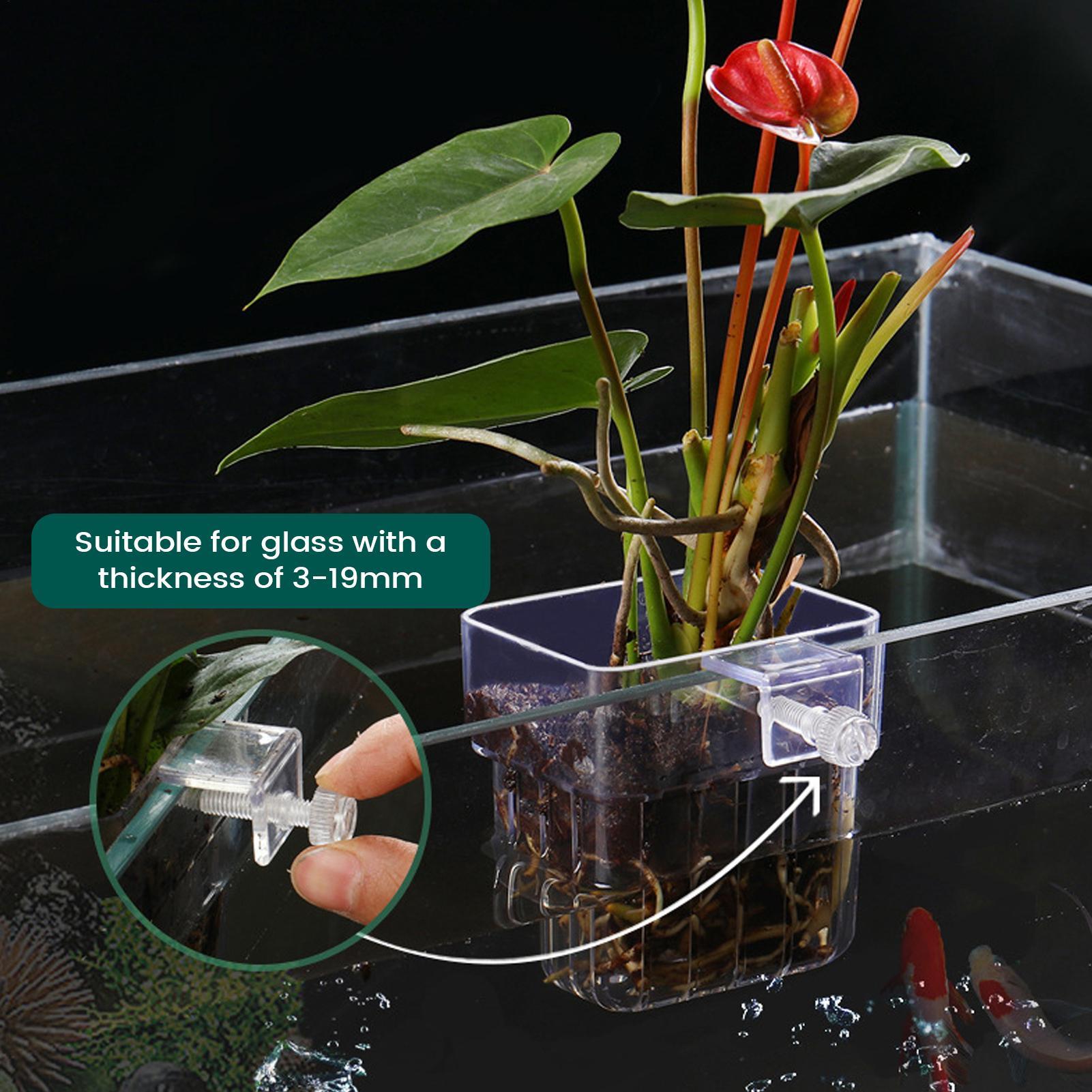 Suporte Transparente para Plan - Plant Aquarium Pot avaliação e preço