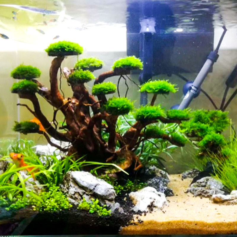 Decoração para Aquário: Orname - Aquarium Moss avaliação e preço