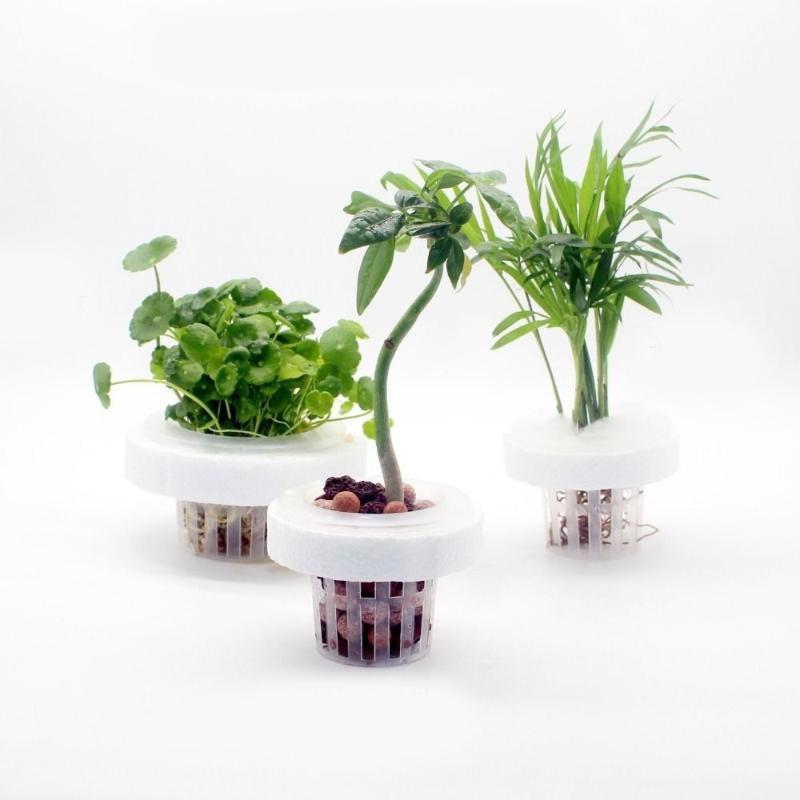 Cesto flutuante para plantas a - Aquarium Plant Holder avaliação e preço