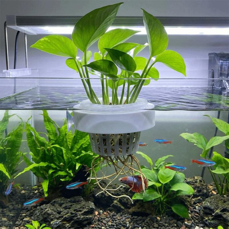 Cesto flutuante para plantas a - Aquarium Plant Holder avaliação e preço
