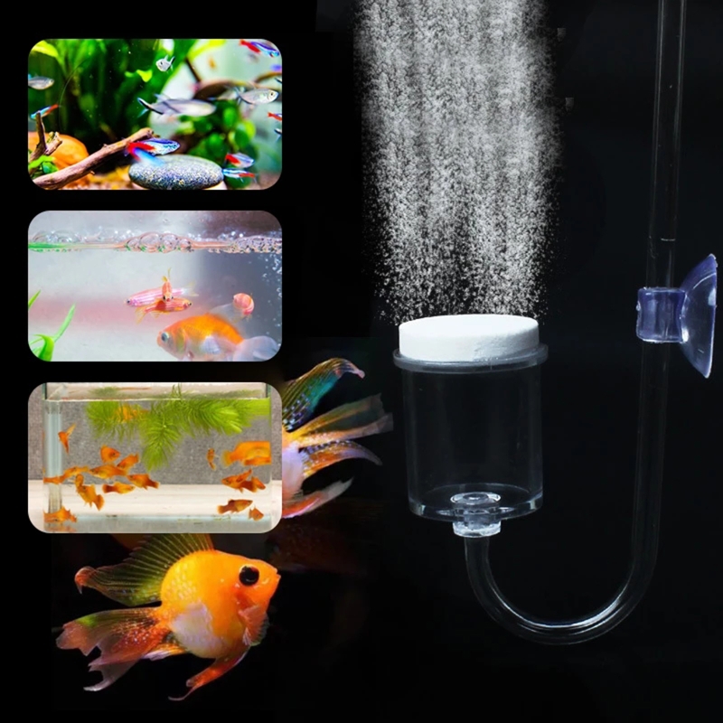 CO2 Difusor para Aquário, DIY  - Aquarium Moss avaliação e preço