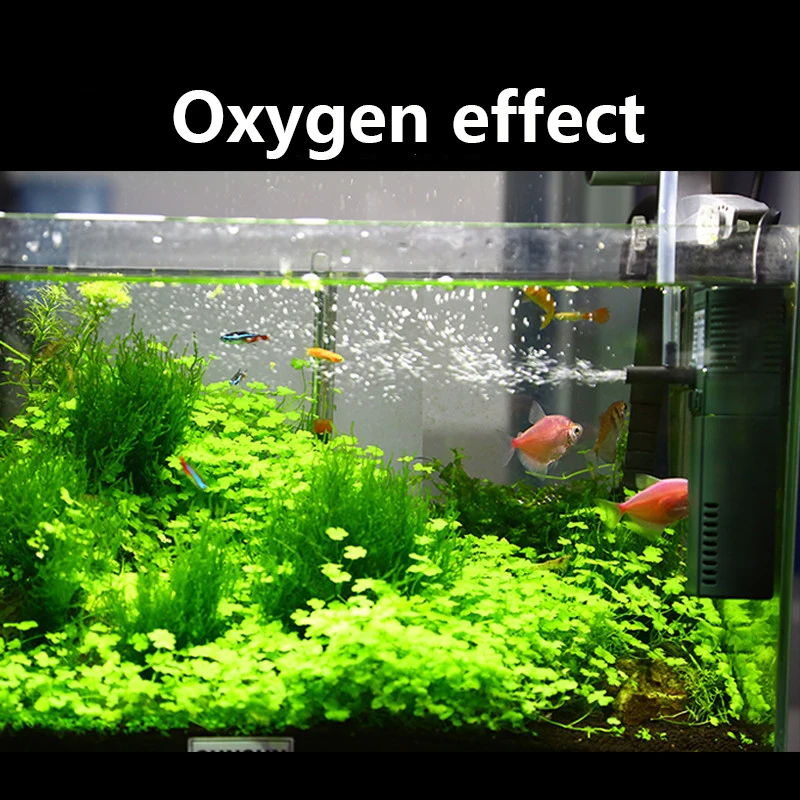 Bomba de Oxigênio Submersível  - Aquarium Planted Tank Filter avaliação e preço