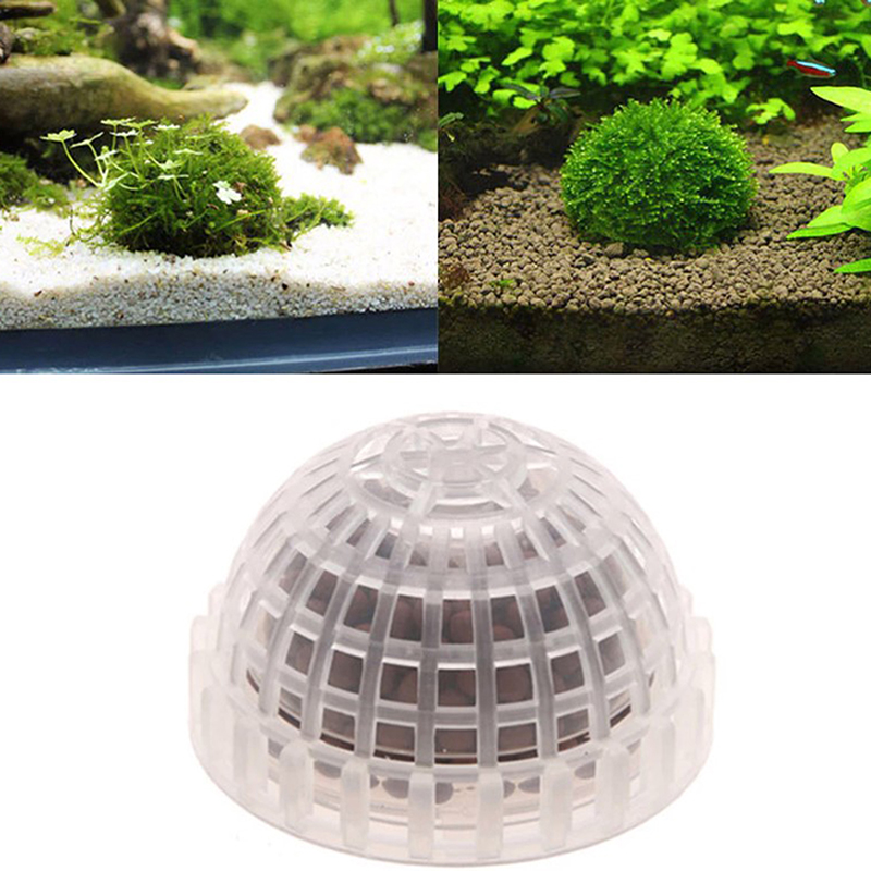 【B】Artigos para animais de est - Live Plant Aquarium avaliação e preço