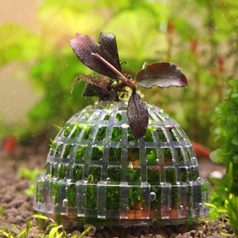 【B】Artigos para animais de est - Live Plant Aquarium avaliação e preço