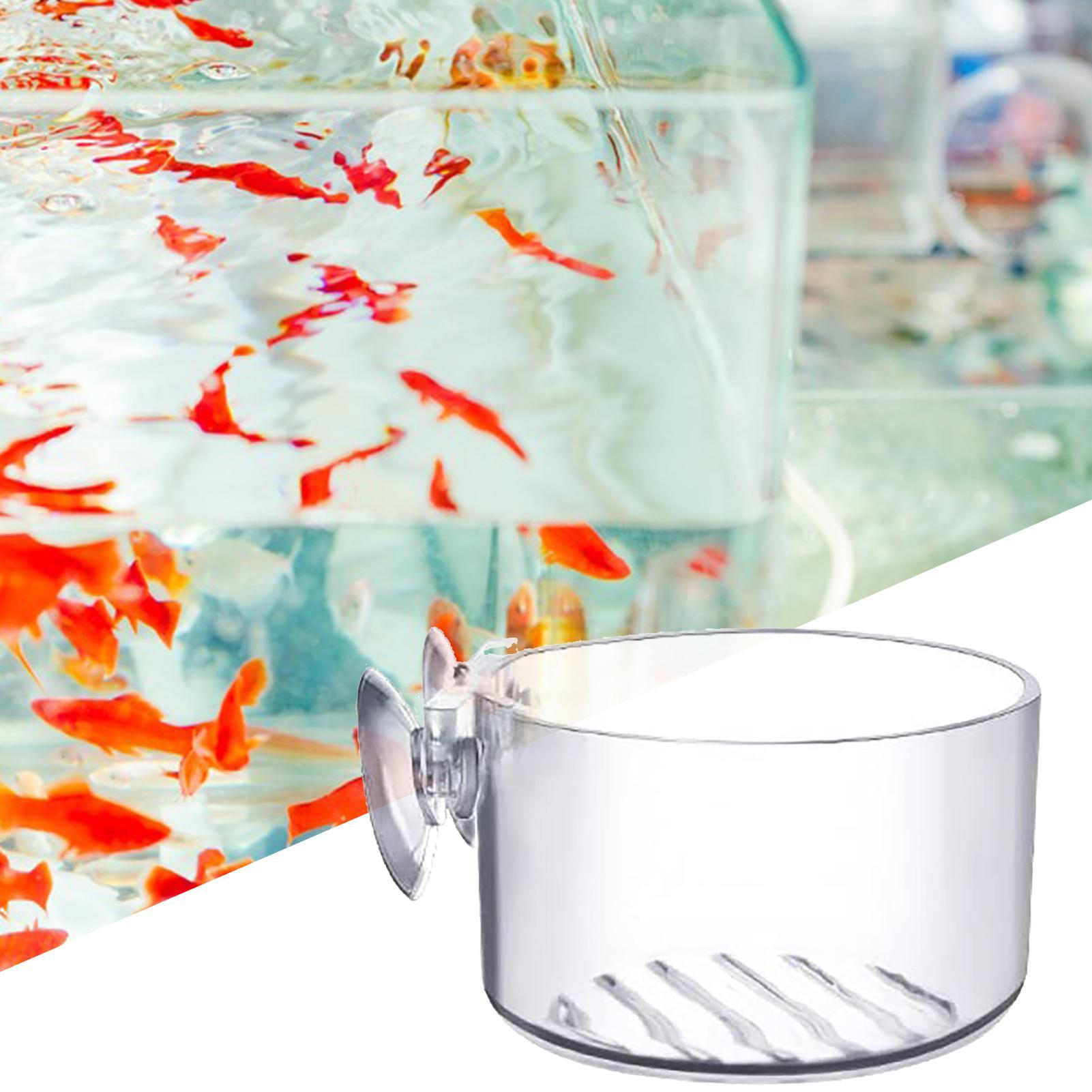 Vaso de Acrílico para Plantas  - Aquarium Plant Holder avaliação e preço