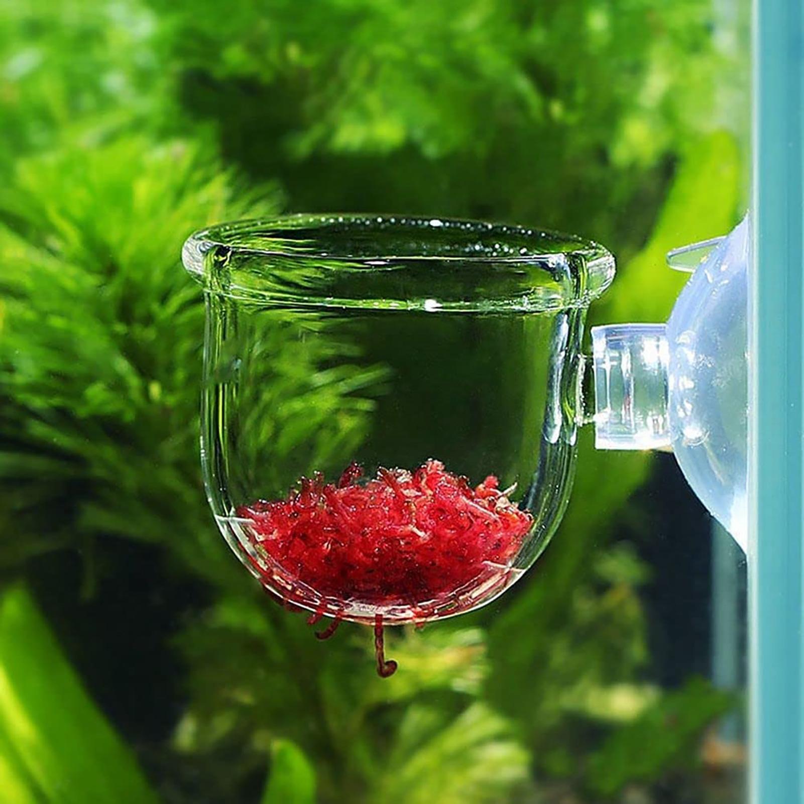 Vaso de Acrílico para Plantas  - Aquarium Plant Holder avaliação e preço