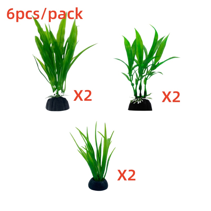 6 unidades de plantas para aqu - Aquarium Plants Live avaliação e preço